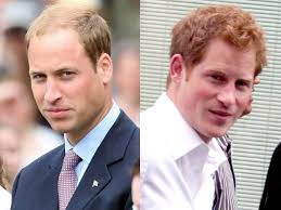 英ウィリアム王子 ヘンリー王子 母ダイアナ妃の訃報を聞いた時の心境を告白 2017年8月24日 セレブ ゴシップ ニュース クランクイン
