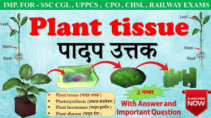 Check spelling or type a new query. Biology Gk In Hindi The Cell Plant And Animal Cell Cell Organelles Biology 2 1 By Pathfinder Study Point