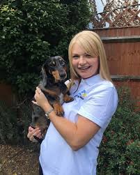 Check spelling or type a new query. How Much Does Dog Sitting And Dog Boarding Cost Barking Mad Uk