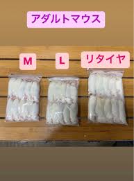 激安通販 国産冷凍マウスMサイズ100匹 爬虫類/両生類用品 - printempsdabeilles.ch