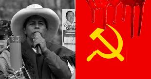 Precisó que detrás de su campaña es Pedro Castillo Se Pronuncia Tras Masacre Terrorista En El Vraem Que Pone De Luto Al Peru