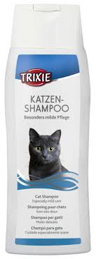 Kedinizin Guzel Kokmasini Saglayacak En Iyi 5 Kedi Sampuani Kedi Blog