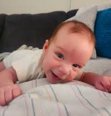 Nomnom baby food made from real ingredients