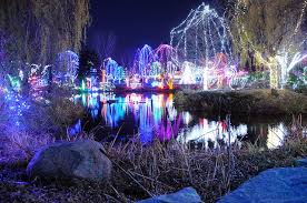 Columbus Zoo Wildlights Columbus Zoo Christmas Scenery Scenic Photos