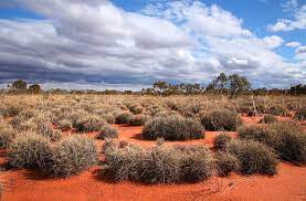 The great sandy desert is a large desert in northern wa, just south of the kimberley region. The Largest Deserts In Australia Worldatlas