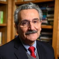 Paul Bové, Critical Reflections