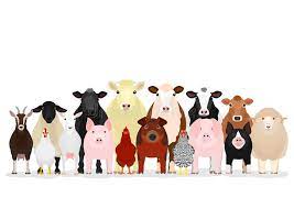 View live livestock feeds plc chart to track its stock's price action. Various Livestock Group Stock Vector Illustration Of Characters 146778377