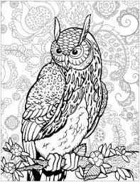 With these advanced owl coloring pages made specifically for teens and adults it won't get boring. Owls Coloring Pages For Adults