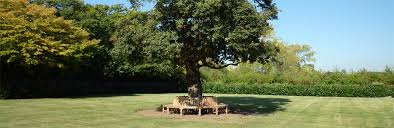 Following two shapes are of six and eight people sitting around a circle. Circular Or Hexagonal Tree Bench Which One Is A Better Choice