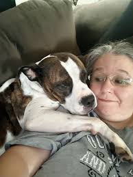 Disney Dreamlight Valley Dreamsnap with Figaro