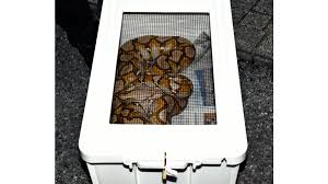 しかし、それは冒険の始まりに過ぎなかった。 「もう無理。 こんな危険な仕事やめたい。 ゲロ吐きそう」 「おう、わかった。 つまり俺達が強くなってお前の分まで戦えばいいんだな、いいハンデだ」 「安心してね. Rm7ov02trommam