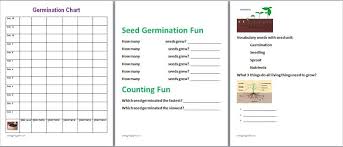 Seed Germination Chart Seed Starter Kit Seed Germination