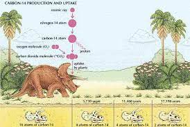 Scientists use the dates of igneous intrusions and extrusions near the sedimentary rock layers to get an absolute date. Radiocarbon Dating Students Britannica Kids Homework Help