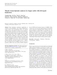 Pdf Muscle Transcriptomic Analyses In Angus Cattle With
