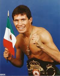 Julio Cesar Chavez - NamuWiki