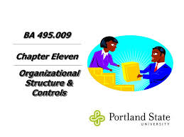 Ppt Organizational Structure Controls Powerpoint