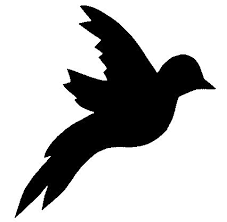 Passaro Voando Desenho Preto Pesquisa Google Molde Passarinho Arte De Silhueta Passaro Desenho Você quer aprender a desenhar de verdade então não perc.a essa mega oportunidade de ser um desenhista de ótima qualidade desenhei os seus melhores animes e não são isso faça os seus. passaro voando desenho preto pesquisa