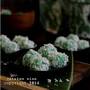 Profile Picture of 37 Odeh -odeh ideas | asian desserts, malaysian dessert ... - Pinterest (@pinterest.com) on Google