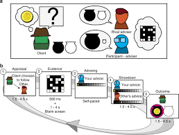 Personalul medical petrece, aproape fara exceptie, foarte multe ore in picioare. Neural Computations Underpinning The Strategic Management Of Influence In Advice Giving Nature Communications
