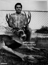 135 Buck Saw Stock Photos, High-Res Pictures, and Images