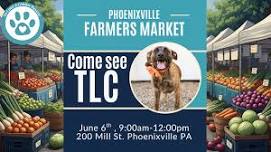 Phoenixville Farmers Market