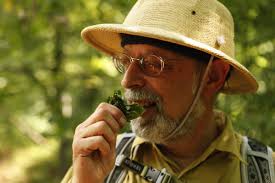 Wildman' to lead foragers