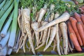 Il linguaggio comune tende a considerare tuberi tutte le verdure sotterranee commestibili ricche di amido, come patate, patate dolci, rape, pastinaca, yakon e manioca. Pastinaca Cos E Proprieta E Usi In Cucina Ohga