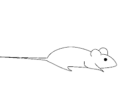 There are tons of great resources for free printable color pages online. Rat Coloring Page Coloringcrew Com