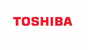Essence of Toshiba', Toshiba's new venture