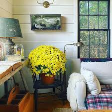 Sea Roost Searoosts Instagram Photos And Videos Roost Beautiful Space Chill