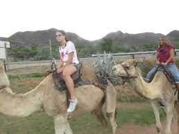 267, noordhoek, cape town, 7975 phone number: Camel Riding In South Africa Youtube