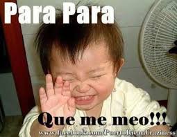 Memes Graciosos Para Grupos De Whatsapp 1 Memes Divertidos Frases De Risa Frases Divertidas