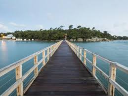 Discover a place filled with magic by visiting the bois de la chaise! Le Bois De La Chaise A Noirmoutier En L Ile En Vendee