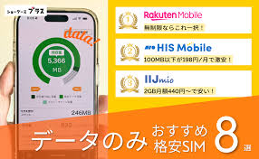 データ 通信 のみ sim 最 安