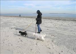 Eileen Sadolf Obituary (2010)