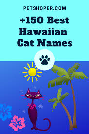 Bourbon or scotch make really great names for male cats, champers for females. Hawaiian Cat Names 150 Cool Names Female Male Top Petshoper