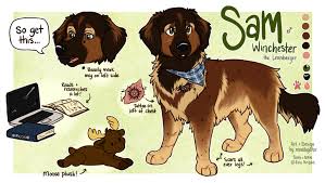 Oc Sam By Ranalligator Deviantart Com On Deviantart Dog Design Art Animal Drawings Dog Drawing