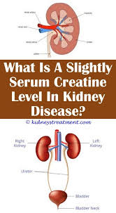 Kidney Disease Quotes Dads In 2020 Polycystic Kidney Disease Kidney Disease Kidney Disease Stages