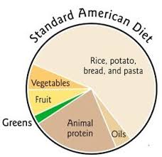 Standard American Diet Chart Diet Chart Smoothies Diet