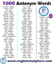 Pin On English Grammar