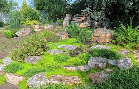 10 Low Maintenance Lawn Alternatives No mow grass is a mix of fine fescue grasses that can be left to grow handsomely long, which how to plant no mow grass.