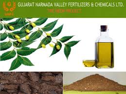 Clay has been reported to eliminate food poisoning, colitis, food allergies, viral infections, and parasites. Dynamite Benefits Of The Neem Oil By Gnfcneem Issuu