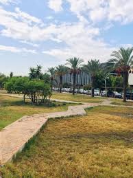 اخبار البشري L البشري News لا شيء يمنعك ان تكون طموحا في حياتك أن تعثرت اليوم فانهض غدا و تذكر أن الهزيمة النفسية داخلك اخطر من الظروف الصعبة حولك