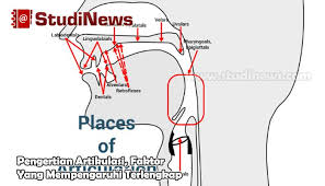 Pengertian Artikulasi Faktor Yang Mempengaruhi Terlengkap
