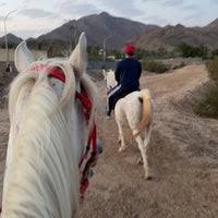 الخليل خلف طيبه لاند , استراحة مني لاند للإيجار اليومي. Ø·ÙŠØ¨Ø© Ù„Ø§Ù†Ø¯ Happy Land 5 Tips From 126 Visitors