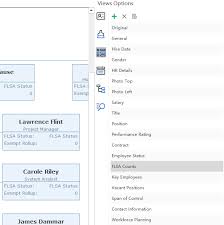 how to apply a predefined org chart view mode quickly org