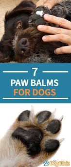 7 Best Dog Paw Balms Waxes And Lotions To Protect Moisturize And Soothe In 2020 Dog Paw Lotion Paw Balm Dog Paw Balm