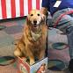 Paws to Read with K-9 Connection event in Williamsburg, VA
