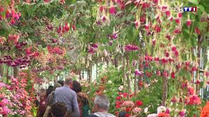 Chaque année, au printemps, les serres de laeken sont ouvertes au public, durant environ 3 la vidéo montre les serres royales de laeken (cette vidéo ne contient aucun dialogue ou narration. Les Serres Royales De Laeken Un Petit Coin De Paradis Lci