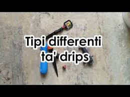 Brendan james fraser was born in indianapolis, indiana, to canadian parents carol mary (genereux), a sales counselor, and peter fraser, a journalist and travel. Tipi Differenti Ta Drips Youtube